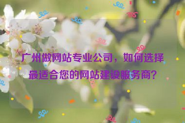 廣州做網(wǎng)站專(zhuān)業(yè)公司，如何選擇最適合您的網(wǎng)站建設(shè)服務(wù)商？