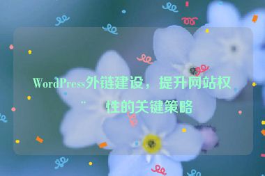 WordPress外鏈建設，提升網(wǎng)站權(quán)威性的關(guān)鍵策略