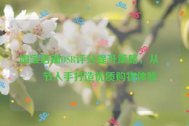 淘寶店鋪DSR評分提升策略，從細(xì)節(jié)入手打造優(yōu)質(zhì)購物體驗(yàn)