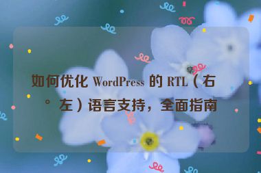 如何優(yōu)化 WordPress 的 RTL（右到左）語言支持，全面指南
