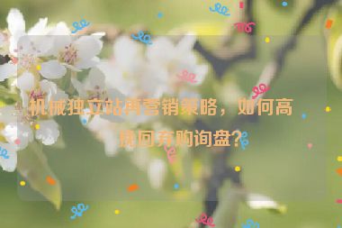 機(jī)械獨(dú)立站再營(yíng)銷(xiāo)策略，如何高效挽回棄購(gòu)詢(xún)盤(pán)？