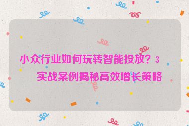 小眾行業(yè)如何玩轉智能投放？3個實戰(zhàn)案例揭秘高效增長策略