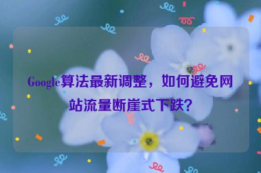 Google算法最新調整，如何避免網(wǎng)站流量斷崖式下跌？