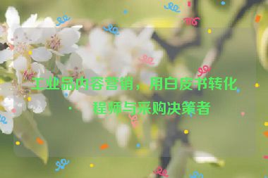 工業(yè)品內(nèi)容營銷，用白皮書轉(zhuǎn)化工程師與采購決策者