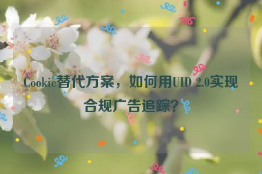 Cookie替代方案，如何用UID 2.0實(shí)現(xiàn)合規(guī)廣告追蹤？