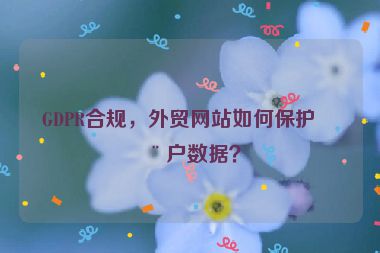 GDPR合規(guī)，外貿(mào)網(wǎng)站如何保護(hù)用戶(hù)數(shù)據(jù)？