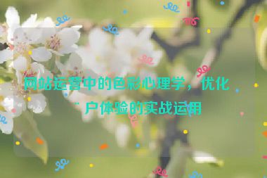 網(wǎng)站運(yùn)營中的色彩心理學(xué)，優(yōu)化用戶體驗(yàn)的實(shí)戰(zhàn)運(yùn)用