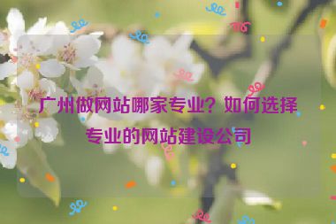 廣州做網(wǎng)站哪家專業(yè)？如何選擇專業(yè)的網(wǎng)站建設公司