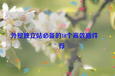 外貿(mào)獨立站必備的10個高效插件推薦