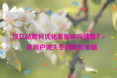 獨立站如何優(yōu)化客服響應速度？降低用戶流失率的實用策略