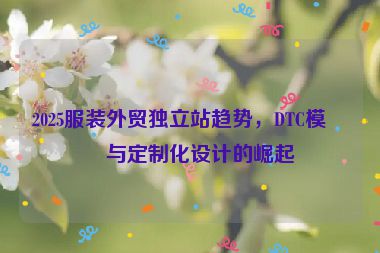 2025服裝外貿(mào)獨(dú)立站趨勢(shì)，DTC模式與定制化設(shè)計(jì)的崛起