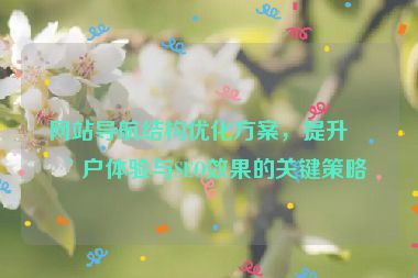網(wǎng)站導(dǎo)航結(jié)構(gòu)優(yōu)化方案，提升用戶體驗(yàn)與SEO效果的關(guān)鍵策略