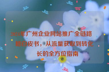 2024年廣州企業(yè)網(wǎng)站推廣全鏈路策略白皮書，從流量獲取到轉(zhuǎn)化增長的全方位指南