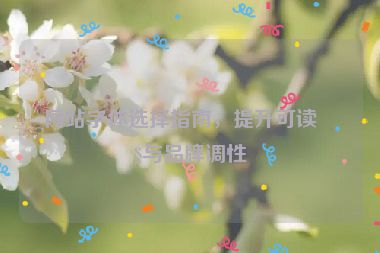 網(wǎng)站字體選擇指南，提升可讀性與品牌調(diào)性