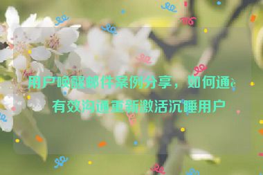 用戶喚醒郵件案例分享，如何通過有效溝通重新激活沉睡用戶