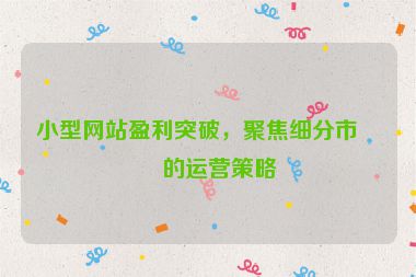 小型網(wǎng)站盈利突破，聚焦細(xì)分市場(chǎng)的運(yùn)營(yíng)策略