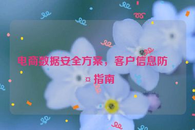 電商數(shù)據(jù)安全方案，客戶信息防護指南