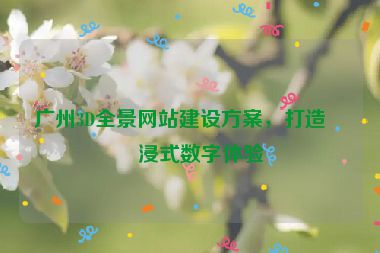 廣州3D全景網(wǎng)站建設(shè)方案，打造沉浸式數(shù)字體驗(yàn)