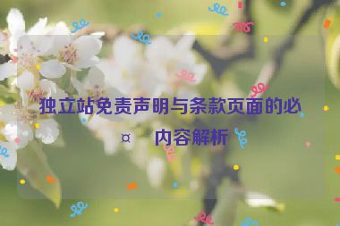 獨立站免責聲明與條款頁面的必備內(nèi)容解析