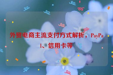 外貿(mào)電商主流支付方式解析，PayPal、信用卡等