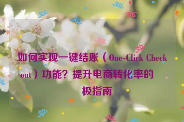 如何實(shí)現(xiàn)一鍵結(jié)賬（One-Click Checkout）功能？提升電商轉(zhuǎn)化率的終極指南