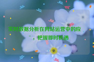 實時數(shù)據(jù)分析在網(wǎng)站運營中的應用，把握即時機遇