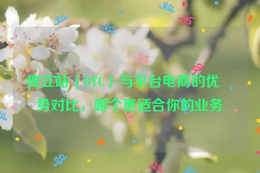 獨(dú)立站（DTC）與平臺(tái)電商的優(yōu)劣勢對(duì)比，哪個(gè)更適合你的業(yè)務(wù)？