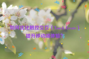 如何優(yōu)化觸控交互（Touch Events）提升移動端體驗？