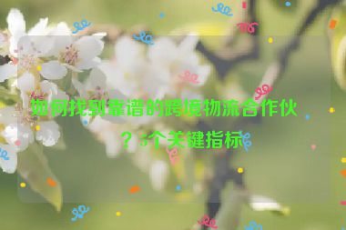 如何找到靠譜的跨境物流合作伙伴？5個關(guān)鍵指標
