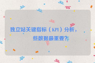 獨(dú)立站關(guān)鍵指標(biāo)（KPI）分析，哪些數(shù)據(jù)最重要？