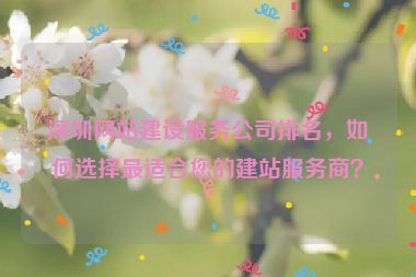 深圳網(wǎng)站建設(shè)服務(wù)公司排名，如何選擇最適合您的建站服務(wù)商？