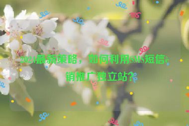 2024最新策略，如何利用SMS短信營銷推廣獨立站？
