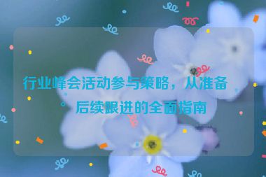 行業(yè)峰會(huì)活動(dòng)參與策略，從準(zhǔn)備到后續(xù)跟進(jìn)的全面指南