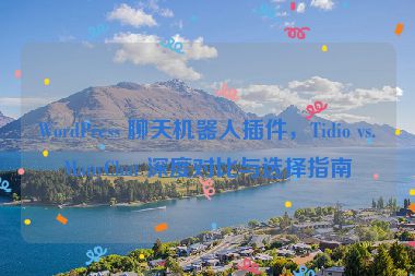 WordPress 聊天機(jī)器人插件，Tidio vs.ManyChat 深度對比與選擇指南