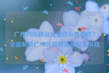 廣州網(wǎng)站建設(shè)運(yùn)營(yíng)團(tuán)隊(duì)有哪些？全面解析廣州優(yōu)質(zhì)網(wǎng)站建設(shè)服務(wù)商
