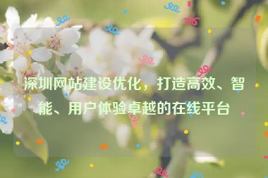 深圳網(wǎng)站建設(shè)優(yōu)化，打造高效、智能、用戶體驗(yàn)卓越的在線平臺(tái)