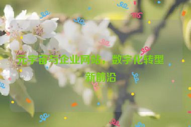 元宇宙與企業(yè)網(wǎng)站，數(shù)字化轉(zhuǎn)型的新前沿