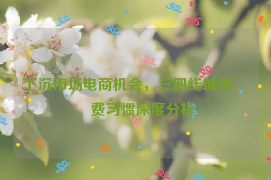 下沉市場(chǎng)電商機(jī)會(huì)，三四線城市消費(fèi)習(xí)慣深度分析