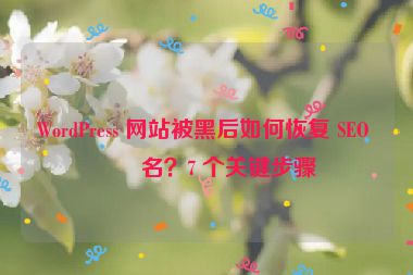 WordPress 網(wǎng)站被黑后如何恢復(fù) SEO 排名？7 個(gè)關(guān)鍵步驟