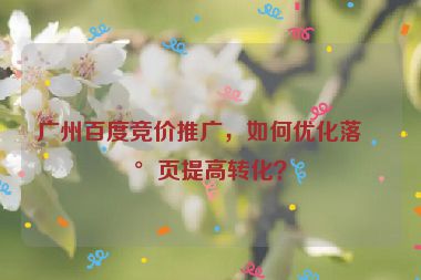 廣州百度競價推廣，如何優(yōu)化落地頁提高轉(zhuǎn)化？