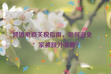 跨境電商關(guān)稅指南，如何避免買家被額外收費？
