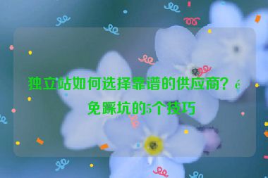 獨立站如何選擇靠譜的供應商？避免踩坑的5個技巧