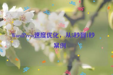 WordPress速度優(yōu)化，從5秒到1秒的案例