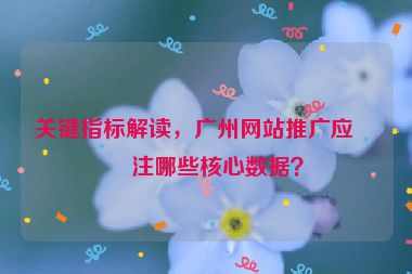 關(guān)鍵指標(biāo)解讀，廣州網(wǎng)站推廣應(yīng)關(guān)注哪些核心數(shù)據(jù)？