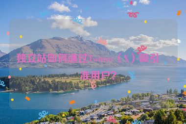獨立站如何通過Twitter（X）吸引精準用戶？