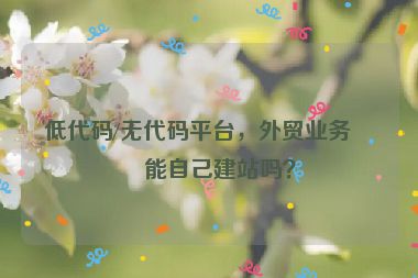 低代碼/無代碼平臺(tái)，外貿(mào)業(yè)務(wù)員能自己建站嗎？