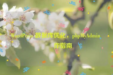 WordPress 數(shù)據(jù)庫(kù)優(yōu)化，phpMyAdmin 操作指南