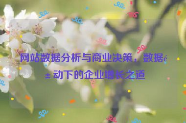 網(wǎng)站數(shù)據(jù)分析與商業(yè)決策，數(shù)據(jù)驅(qū)動(dòng)下的企業(yè)增長之道