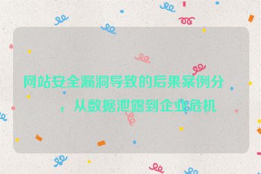 網(wǎng)站安全漏洞導致的后果案例分析，從數(shù)據(jù)泄露到企業(yè)危機