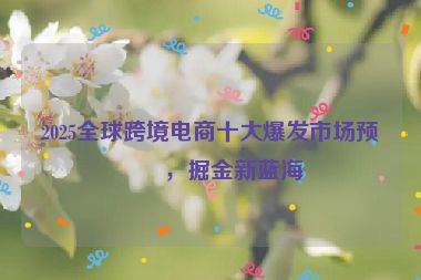 2025全球跨境電商十大爆發(fā)市場預(yù)測，掘金新藍(lán)海